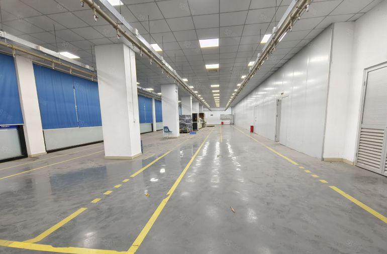 光明科学城高新园独院30000平方500平起分开发商红本出租