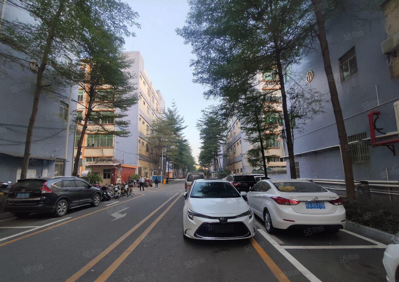 光明东坑新空出楼上精装修厂房出租1200平，现成水电，格局好