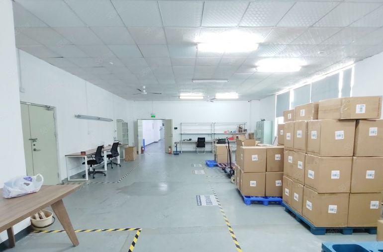 光明科技园独栋厂房6000平低价出租带装修大小可分可办环评