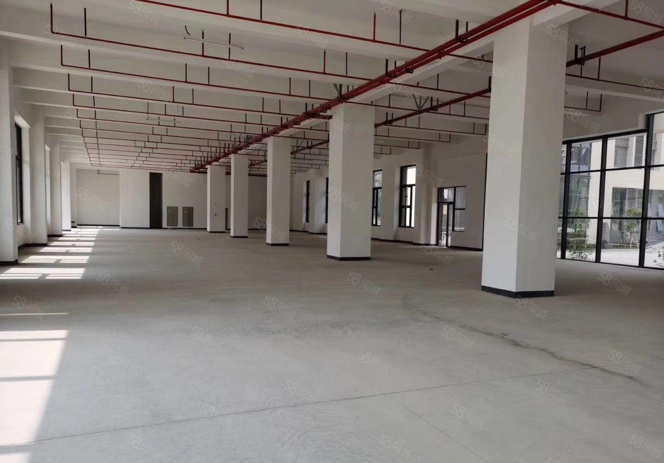 公明汽车站新出原房东楼上2000平方厂房招租