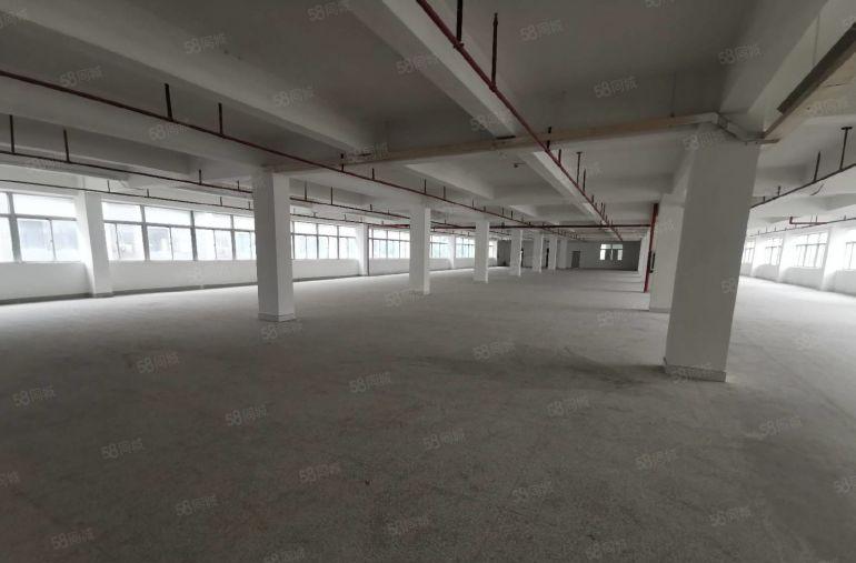 光明地铁口高新区红本国家补贴5000平厂房出租1000平可分
