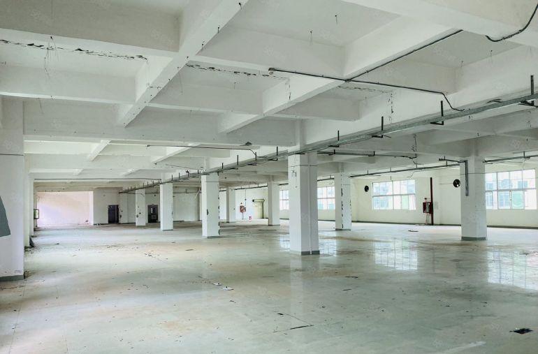 光明区新空出俩栋独门独院共13600平方。原房东大小可分组！