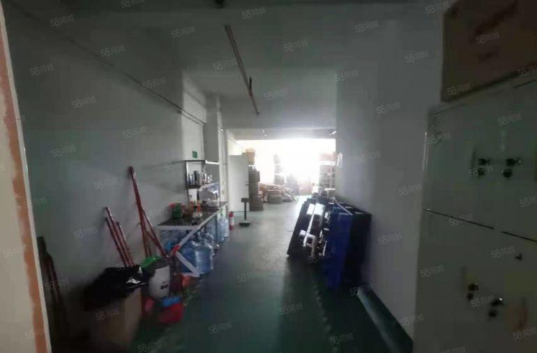 公明蒋石800平厂房出租分450，350适合电商仓库办公贸易