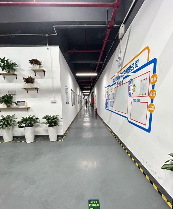 光明独栋厂房出租5000平精装可分租1000平起