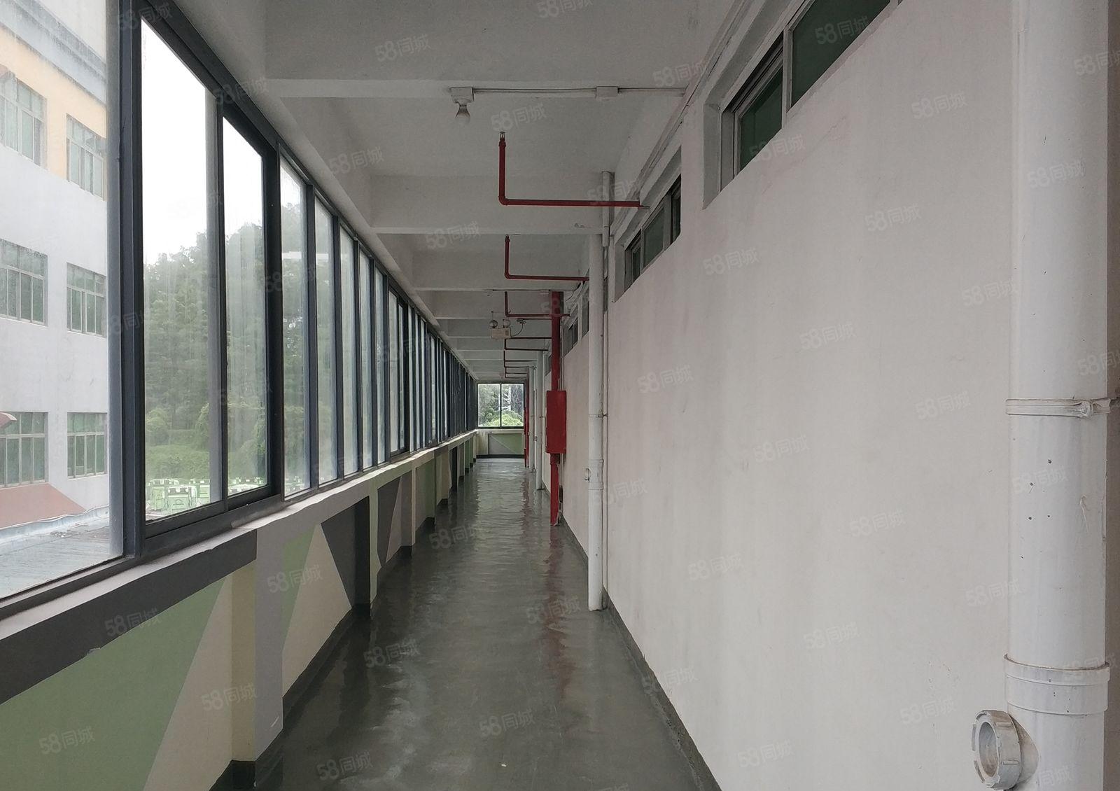 美盈（凤凰）智汇园 148平写字楼 双面采光 科技桃花园