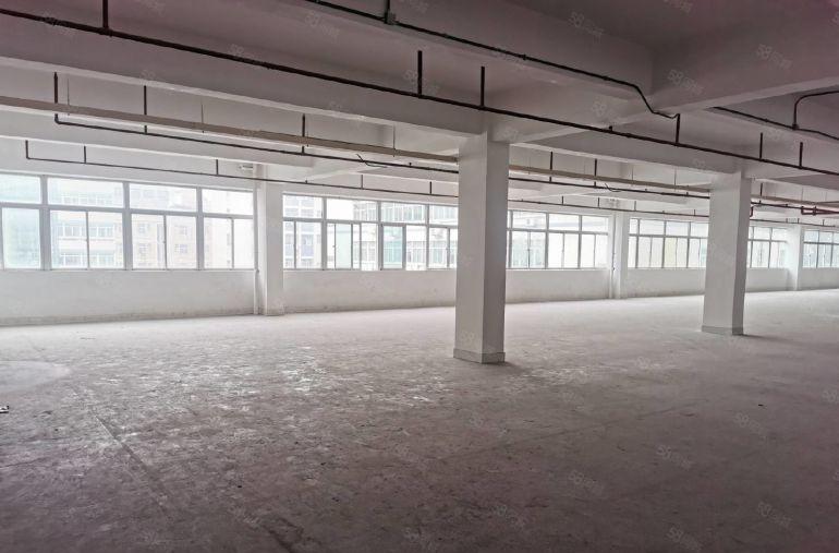 光明地铁口高新区红本国家补贴5000平厂房出租1000平可分