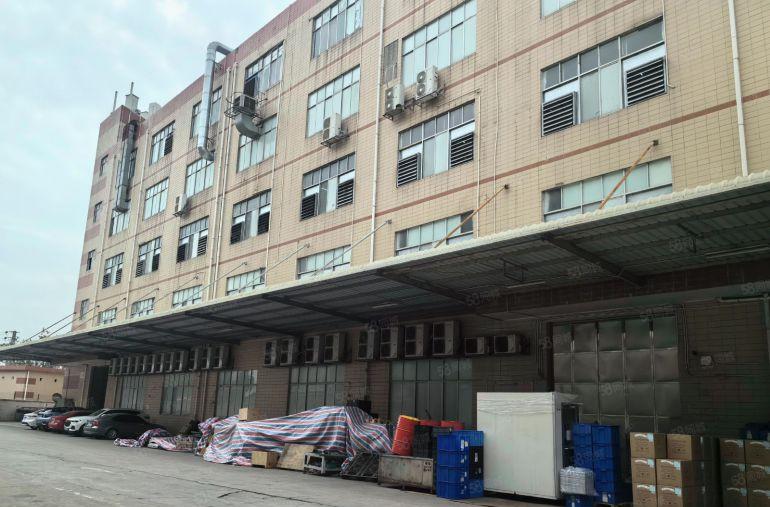 光明独栋厂房14000平一楼高6米带牛角分租空地大近高速口