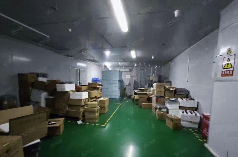 公明无尘车间厂房出租（950平无转让费，已空出随时可看可谈）