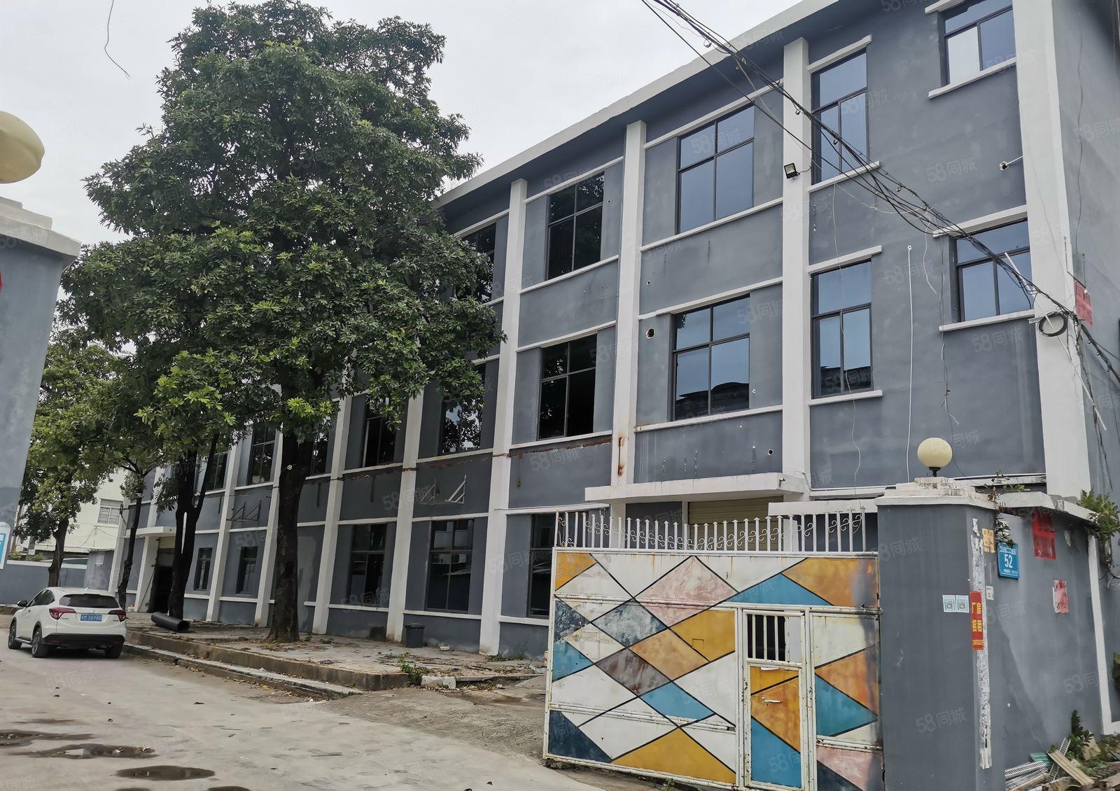 公明合水口精装修独院1~3层独院5200平方招租可分租