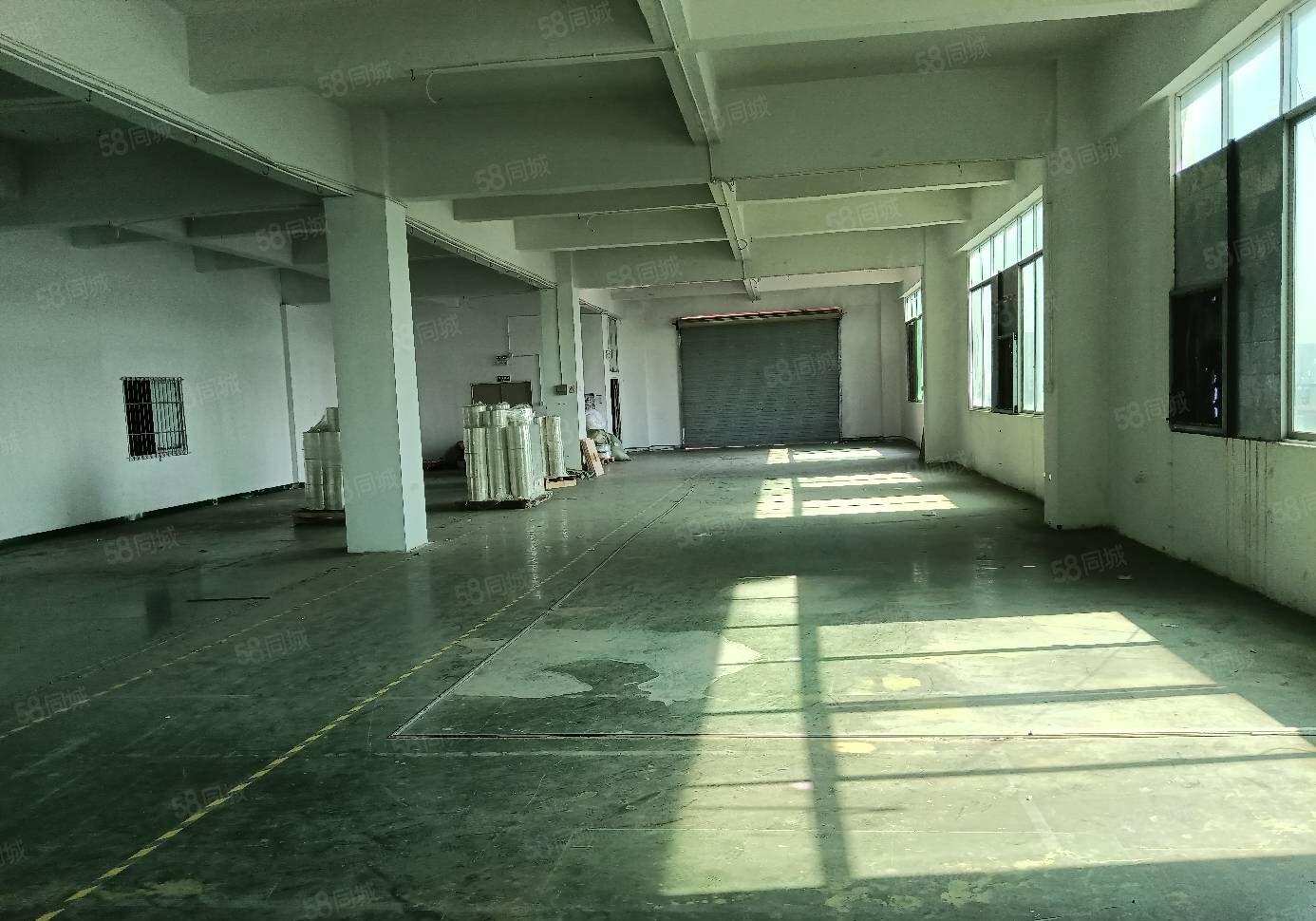 公明上村新出厂房独院面积4380平米   宿舍600平米