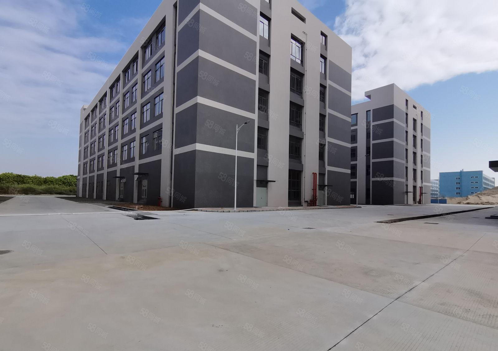 年前超长免租期生产办公研发高新补贴高速口易招工空地大停车便利