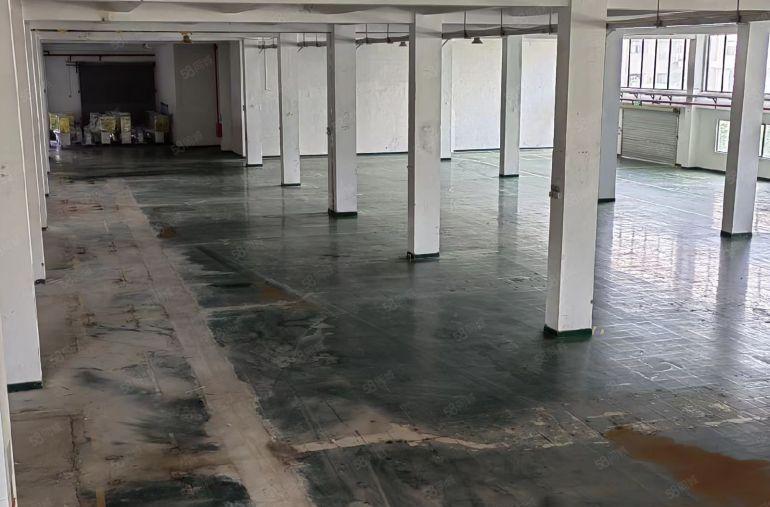 园区一楼4500平3卸货台国道边