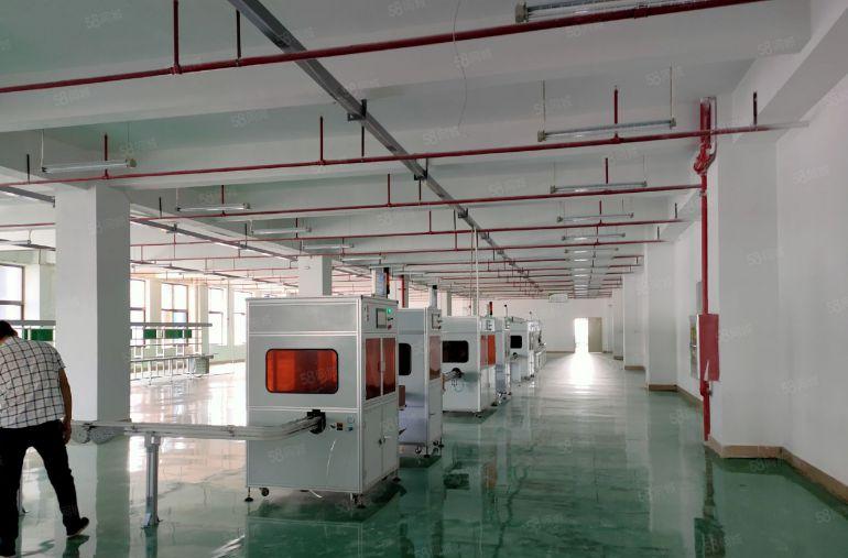 坪山高新区，大型科技园红本厂房出租16000平方米整租或分租