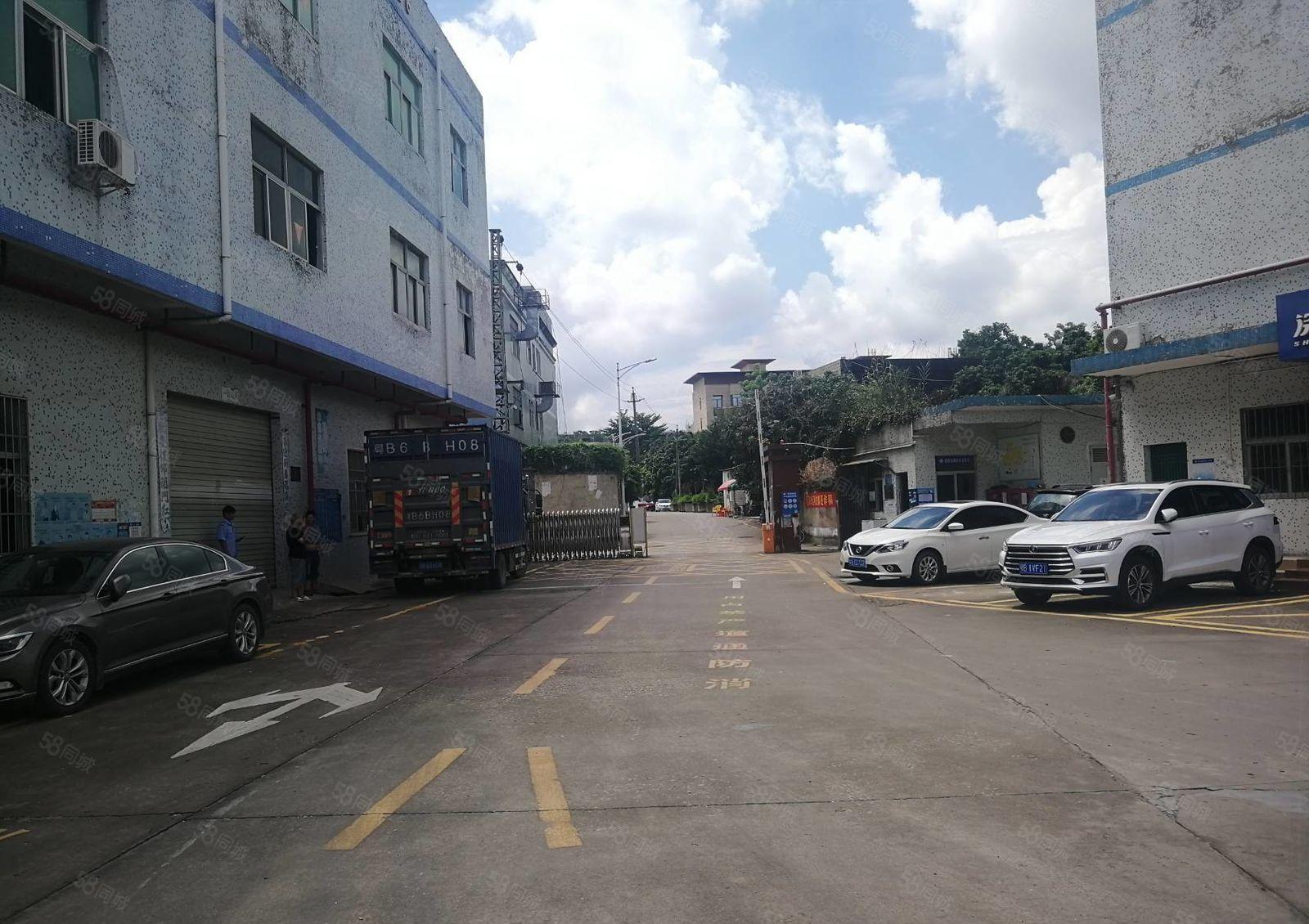 200平起分租坪山石井原房东独院一楼厂房出租1000平空地