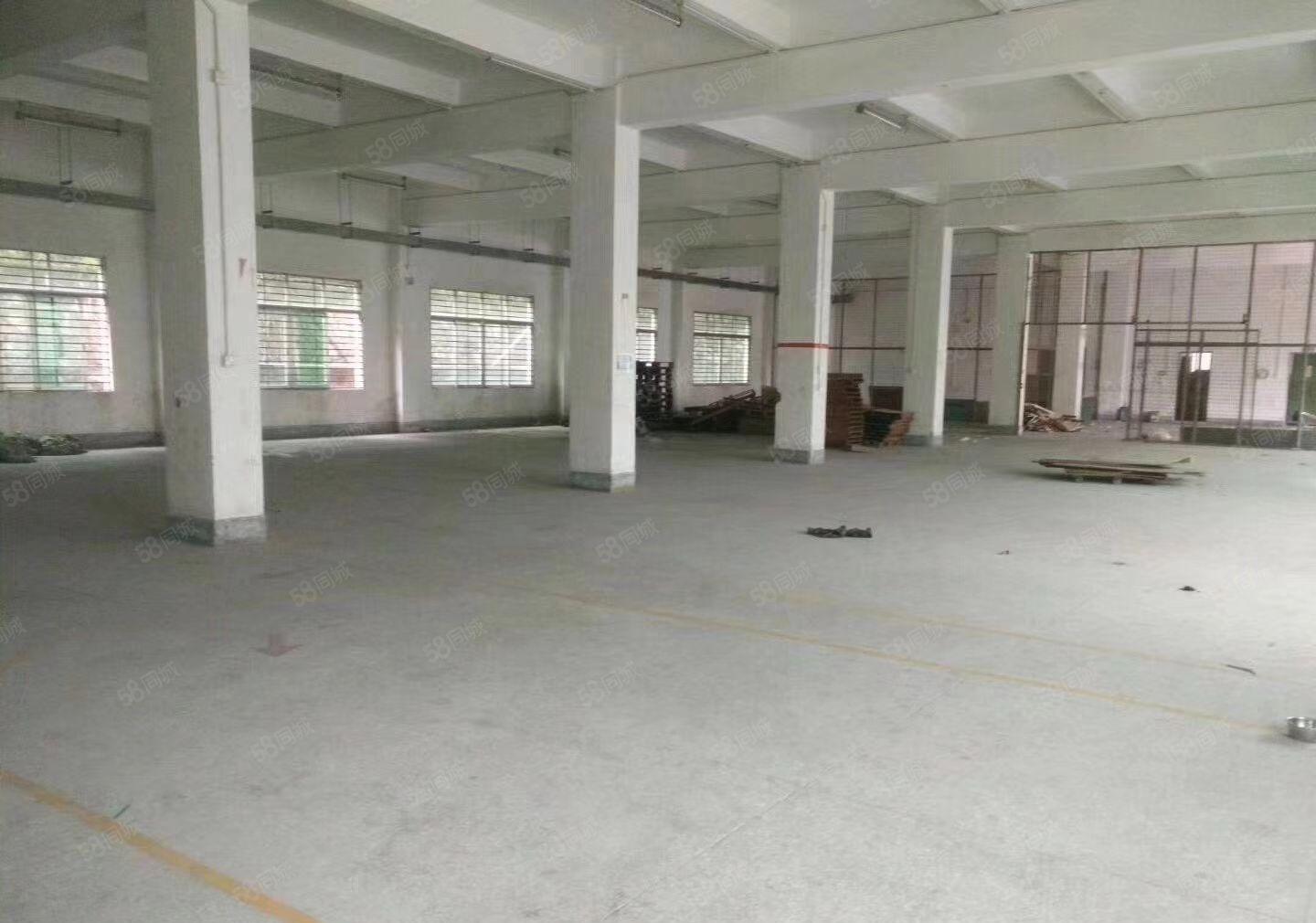 1楼20元起  石井第二工业区独院1楼1300平米，可分租