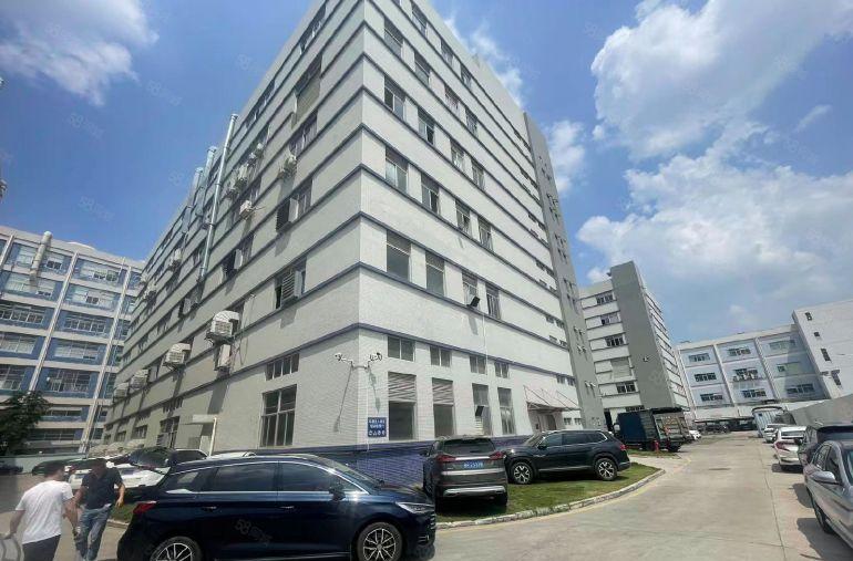 坪山大工业区300平开发商楼上厂房尾盘直租，现成装修办公室