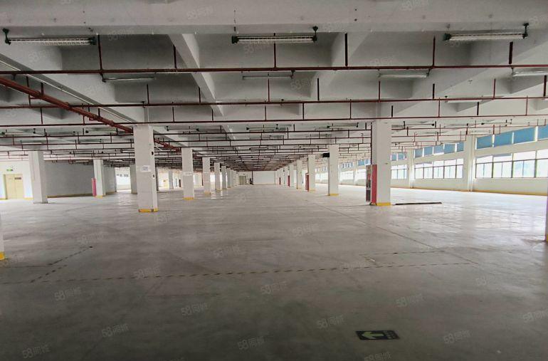 200平起坪山地铁口原房东厂房20000平园区出租大小可分租