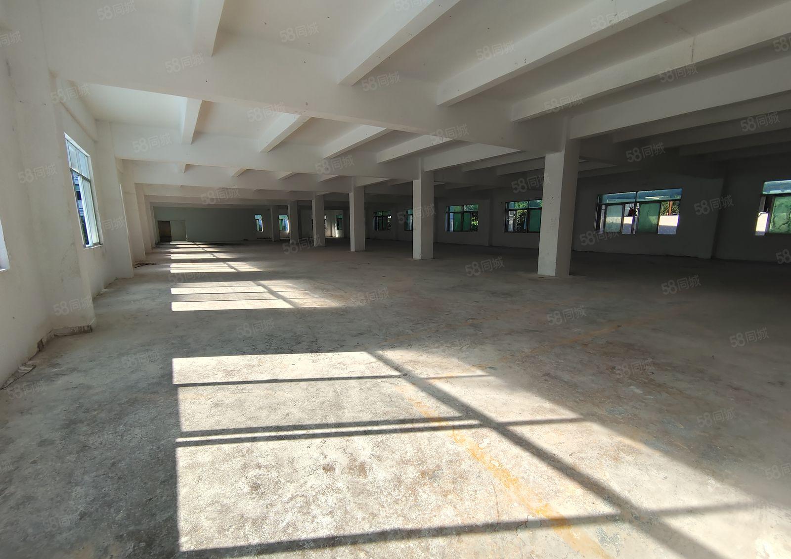 坪山碧岭金碧路边上独院厂房层高4.8米，可以分租500平方