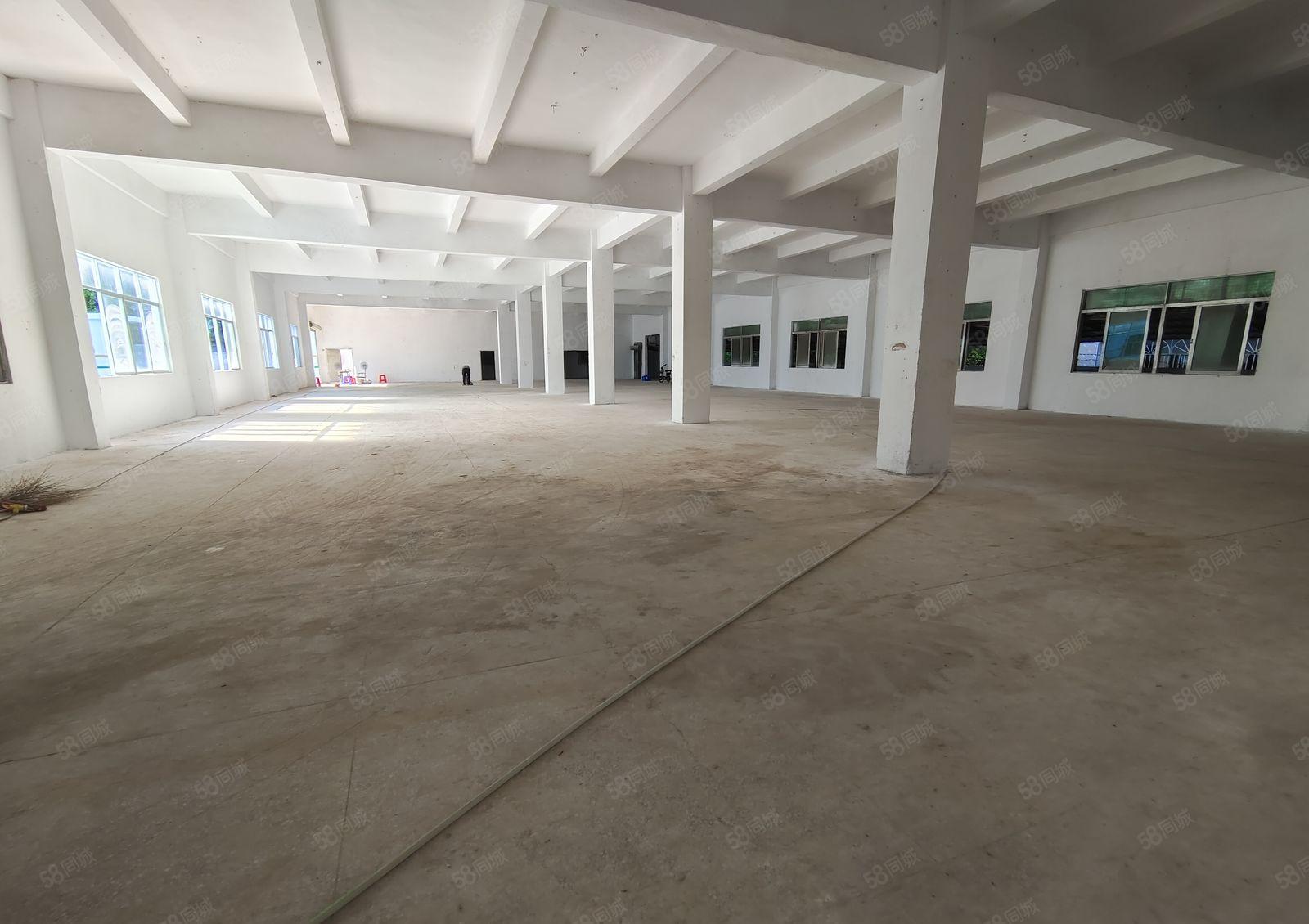 坪山碧岭金碧路边上独院厂房层高4.8米，可以分租500平方