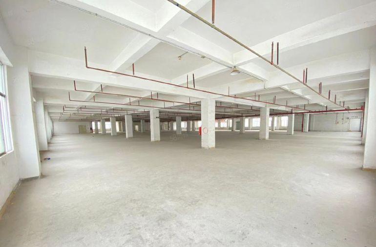 碧岭独院厂房22500平环境优美安静不吵整租不限行业