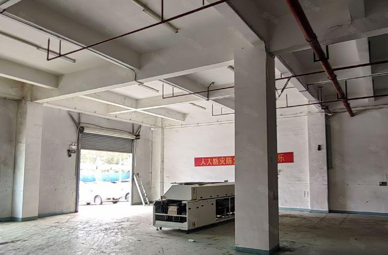 21米大车进坪山区比亚迪二期附近园区一楼1050平高4.8米