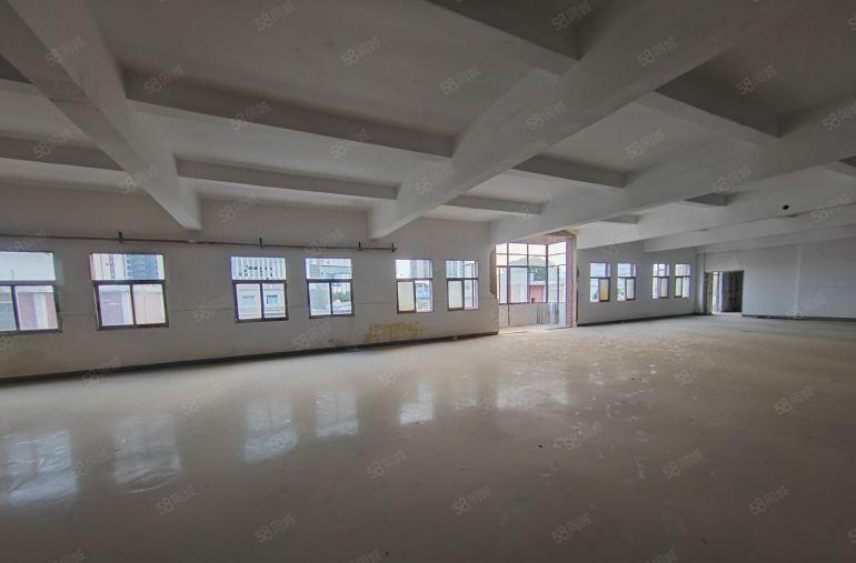 1000平方一层龙田街道全新标准厂房出租性价比高停车免费