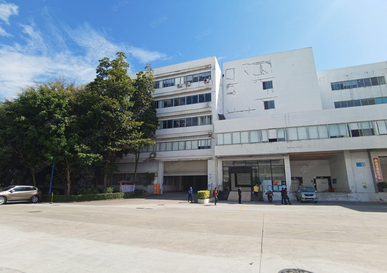 坪山中心区原房东红本重工业单层3000平仓库厂房出租可分租