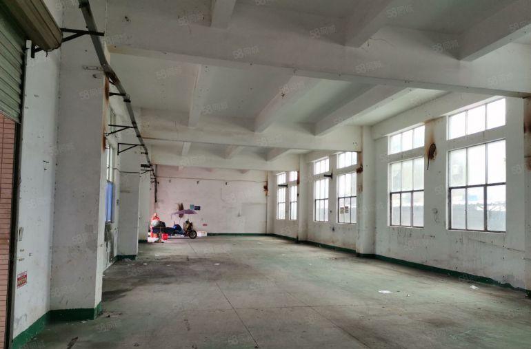 深圳市坪山区石井工业区1楼520平米，标准厂房出租，层高6米
