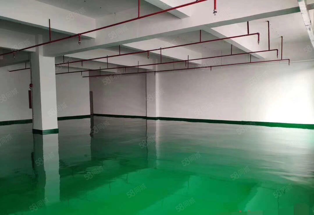 100起分坪山高铁电梯口精装可带家私电商办公厂房出租500平