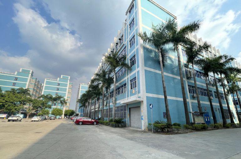 水电齐全坪山原房东科技园楼上500平方带装修厂房仓库出租