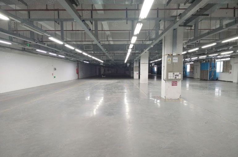 坪山区原房东红本30000平标准厂房出租，大小可分租