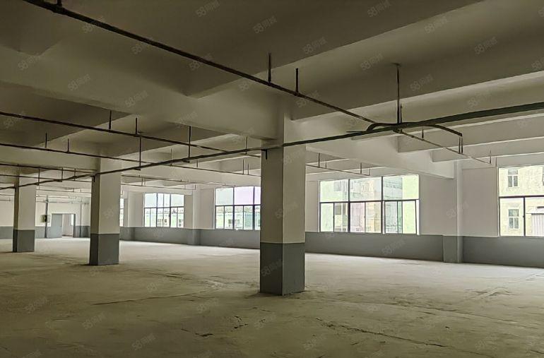 特价优惠打包价1万元坪山坑梓联兴路独院二楼600平高4.8米