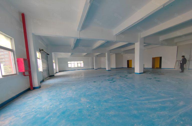 16元坪山石井园区厂房700平1500平方大小可分租免佣