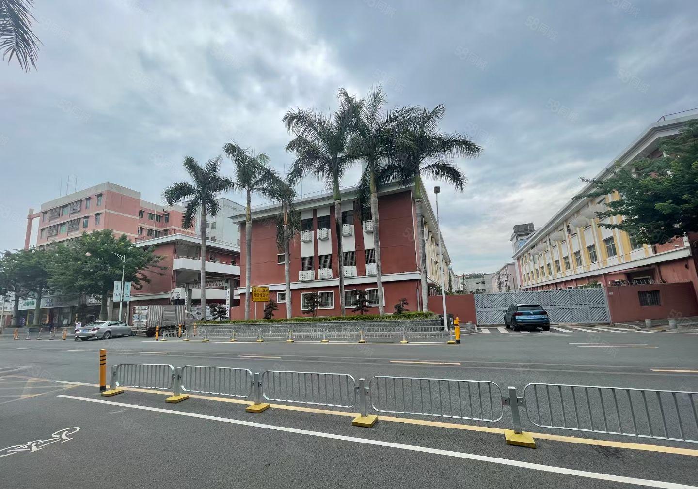 坑梓独门独院厂房出租不分租