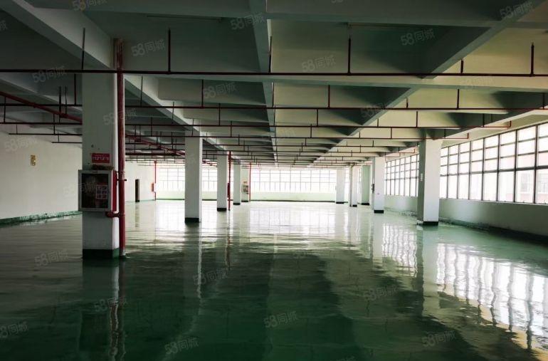 坪山高薪产业园780平方厂房出租红本租赁可分租花园式厂房