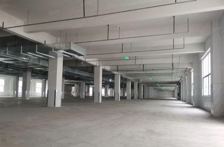 深圳市坪山区全新原房东独院20000平米厂房出租，实际面积