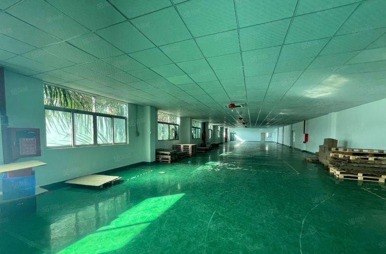 坪山石井厂房出租1000平方带现成装修水电领包即可入驻可分租