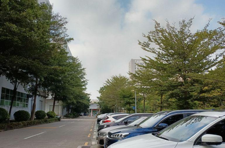 坪山坑梓原房东大型科技园1楼1000平带精装办公仓库厂房出租