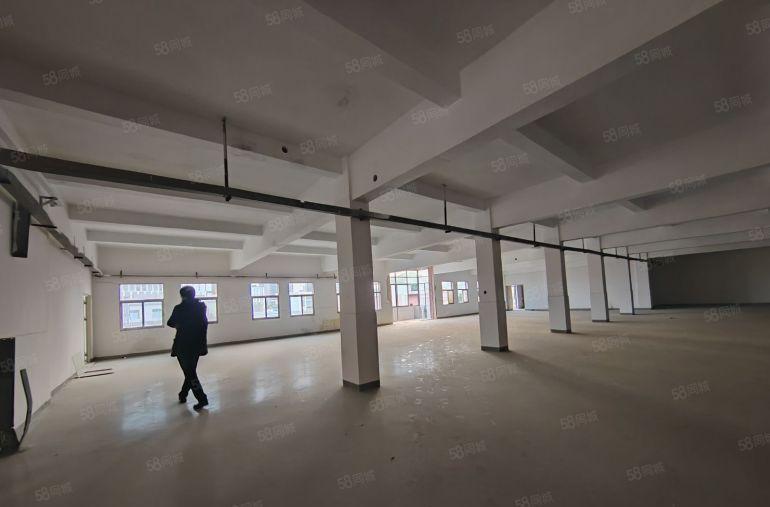 1000平方一层龙田街道全新标准厂房出租性价比高停车免费