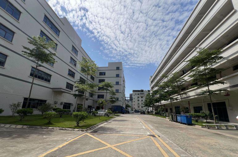 14元易招工带红本村委直租坪山高新产业园500平仓库厂房出租