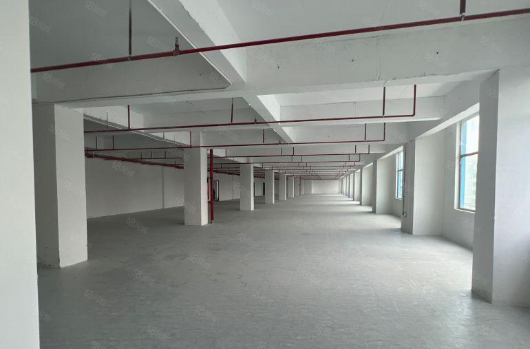 深圳市坪山区生物医疗产业园单层2000平红本村委厂房低价出租