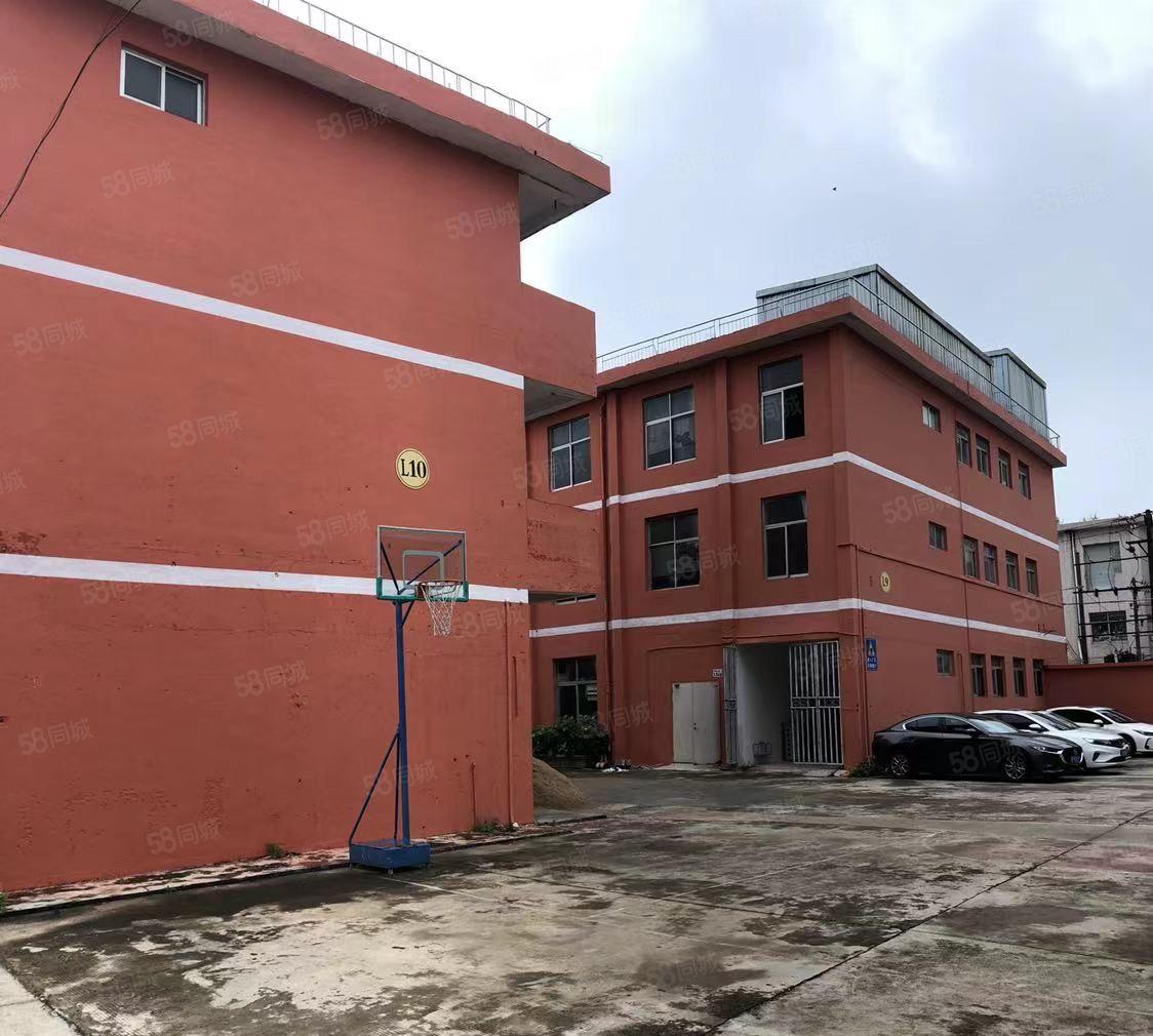 坑梓独门独院厂房出租不分租