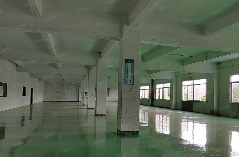 200平起分租坪山金田路石井地铁口独院二楼900平高4.2米