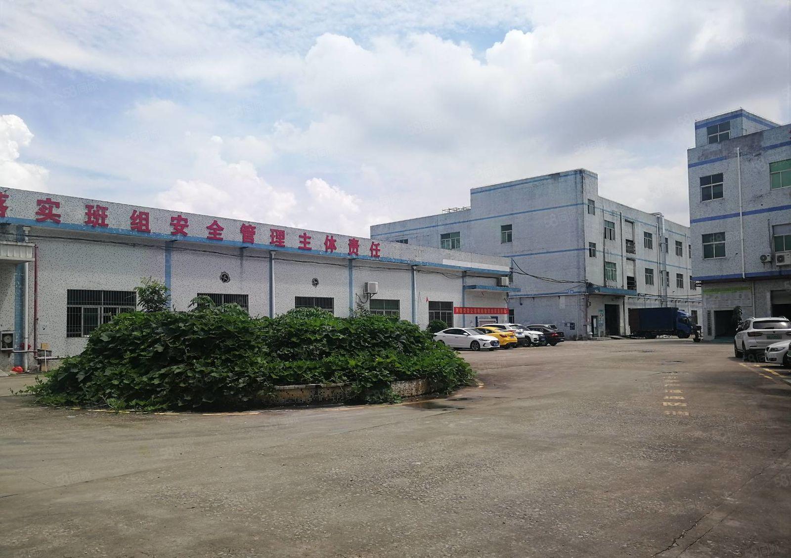 200平起分租坪山石井原房东独院一楼厂房出租1000平空地