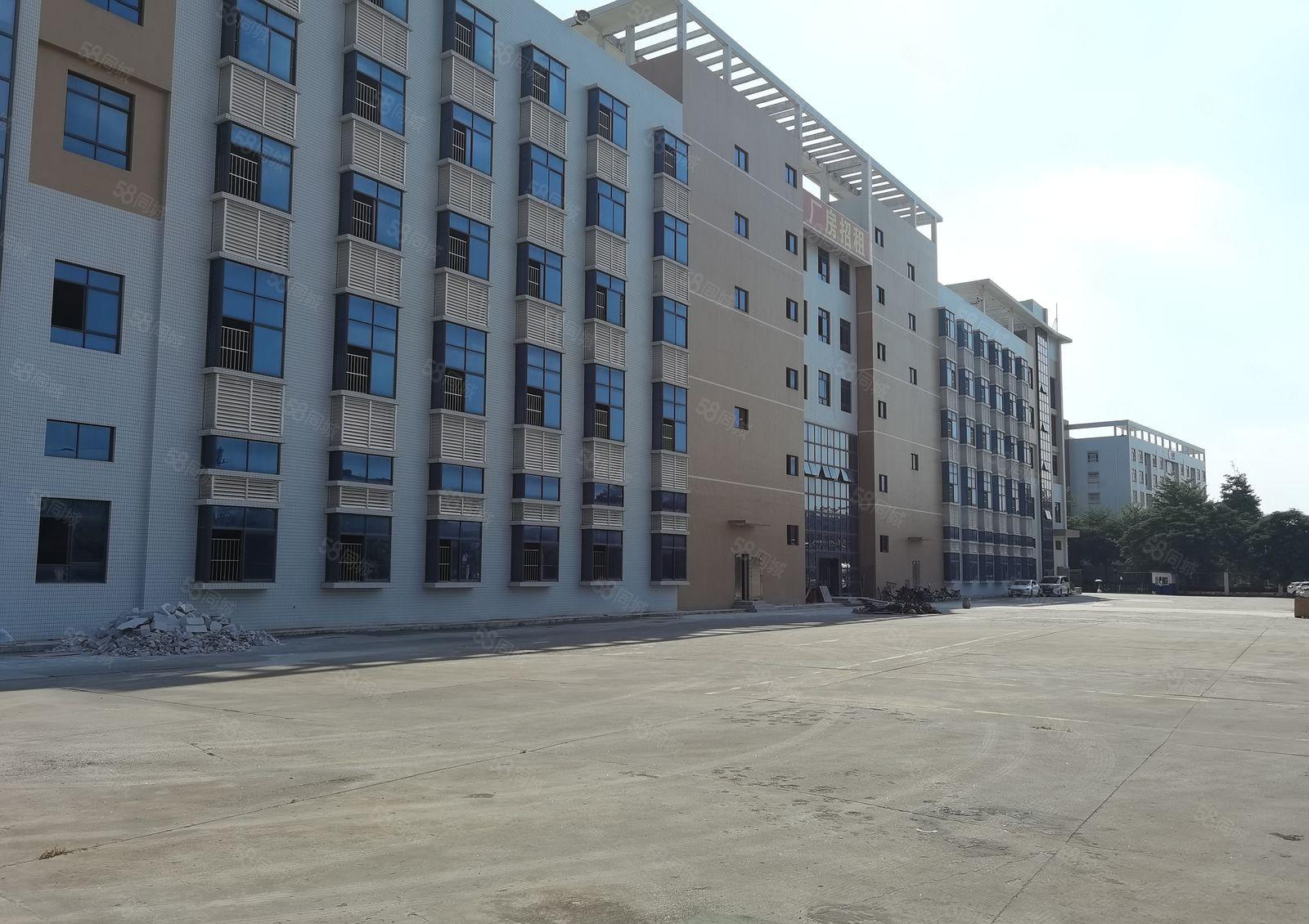 坪山新出300至2000平带装修一楼厂房楼上精选厂房仓库出租