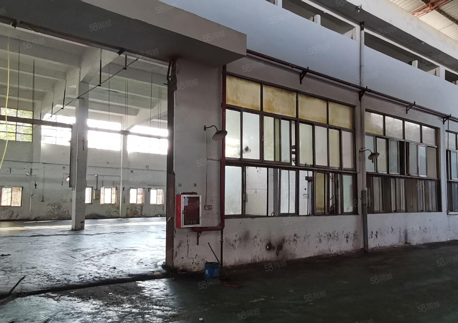 可分高度11米有牛角坪山坑梓秀新新梓路附近园区一楼1500平