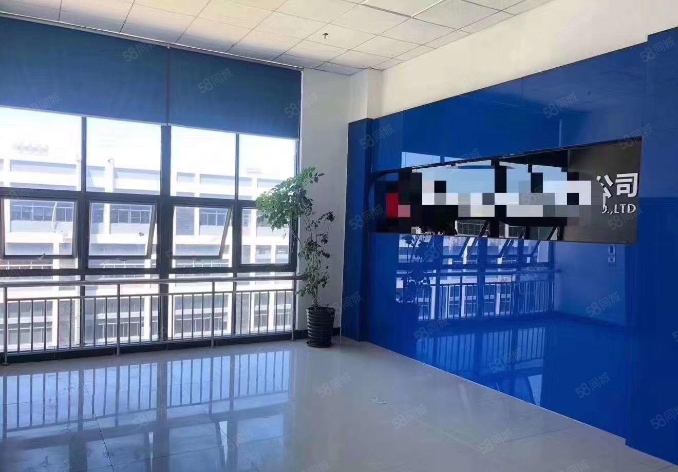 坪山高薪产业园2000平方红本厂房出租尤享房租补贴可分租