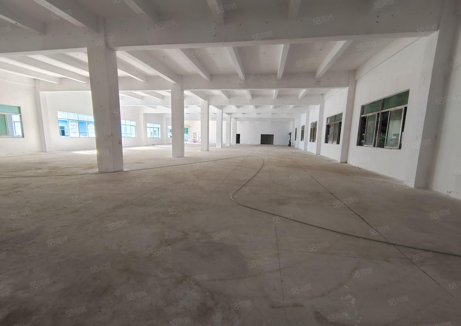 坪山碧岭金碧路边上独院厂房层高4.8米，可以分租500平方