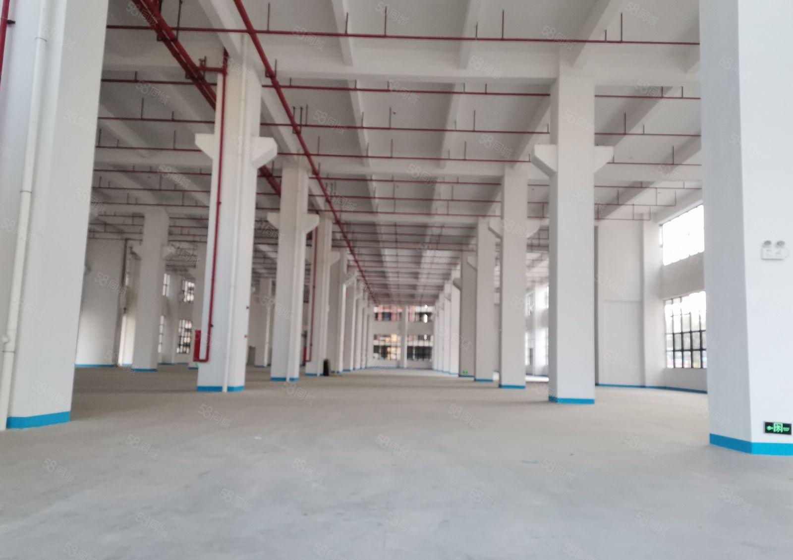 深圳市坪山区一楼11米高红本厂房出租，一楼4500平方米