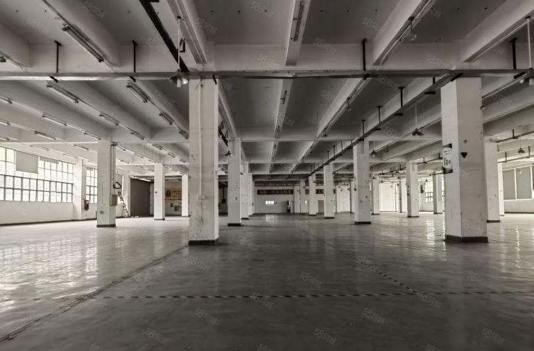 坪山原房东低价高新补贴一楼厂房出租2000平，仓库出租可分租